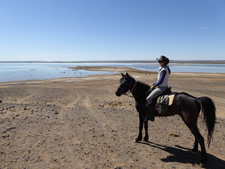 Morocco-Morocco-Sand Dunes Horse & Camel Ride